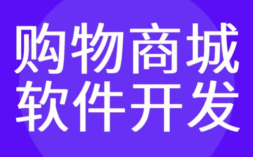 广州商城软件开发 网上购物 微信电商定制 红匣子科技